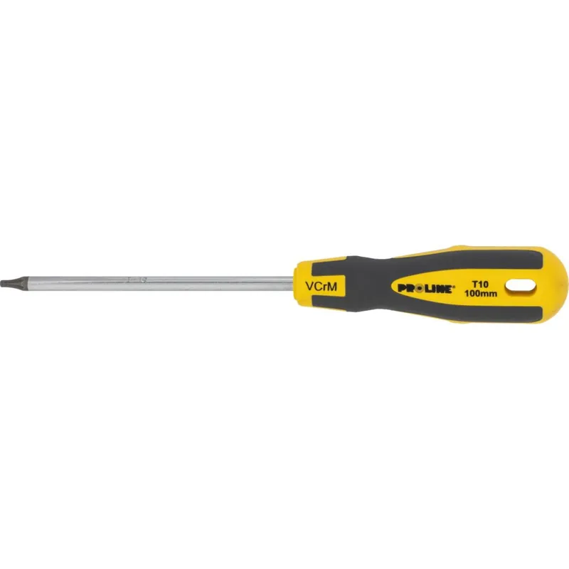 WKRĘTAK TORX Z OTWOREM T25*100MM PROF.'S-T' PROLINE ZAWIE Oferta czasowa