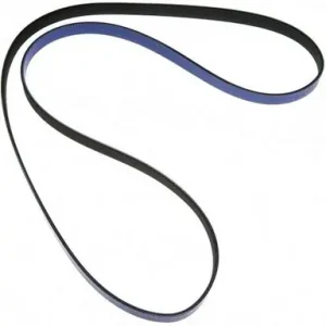 Kup online Accessory Drive Belt